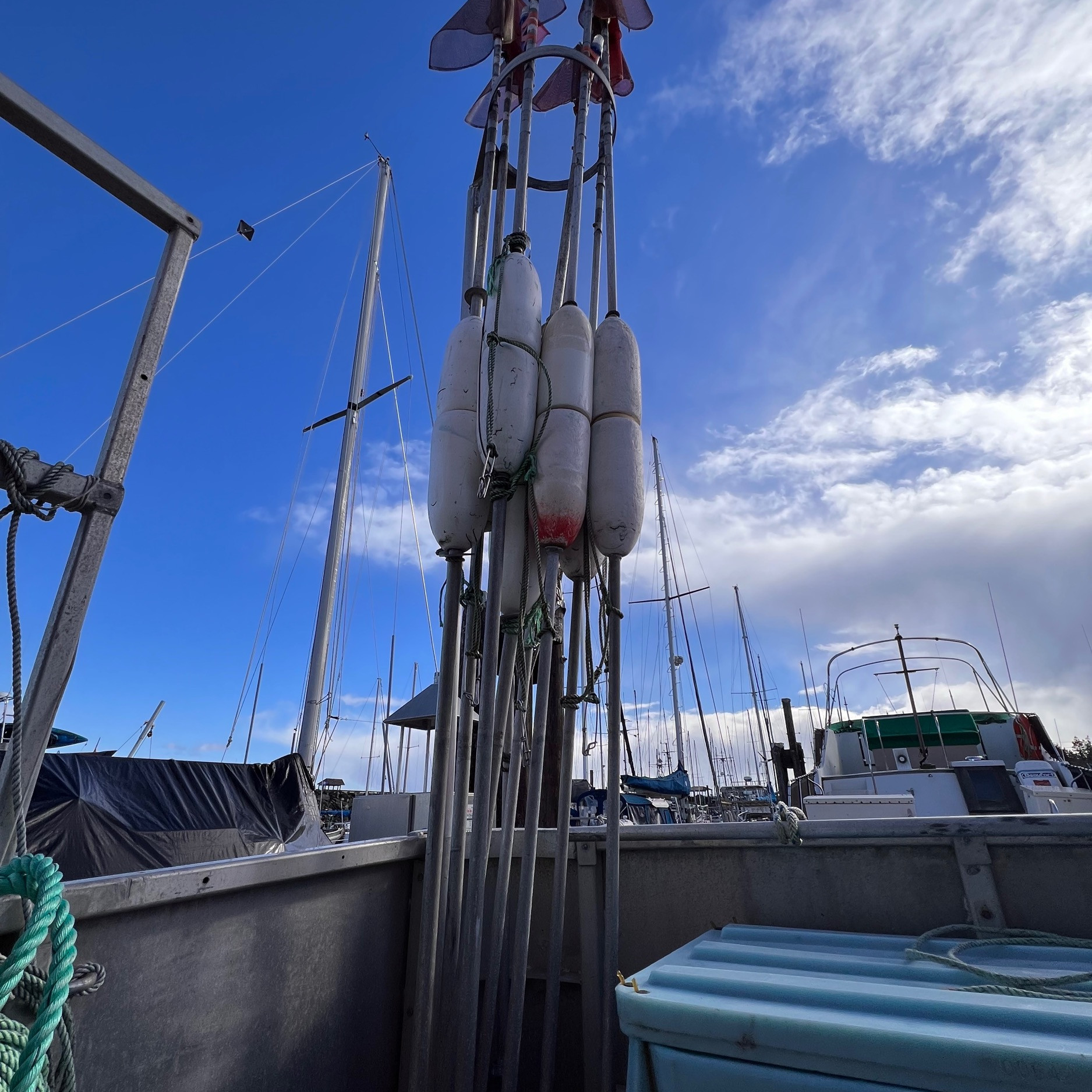 picture-of-flagpoles-stormryder.jpg
