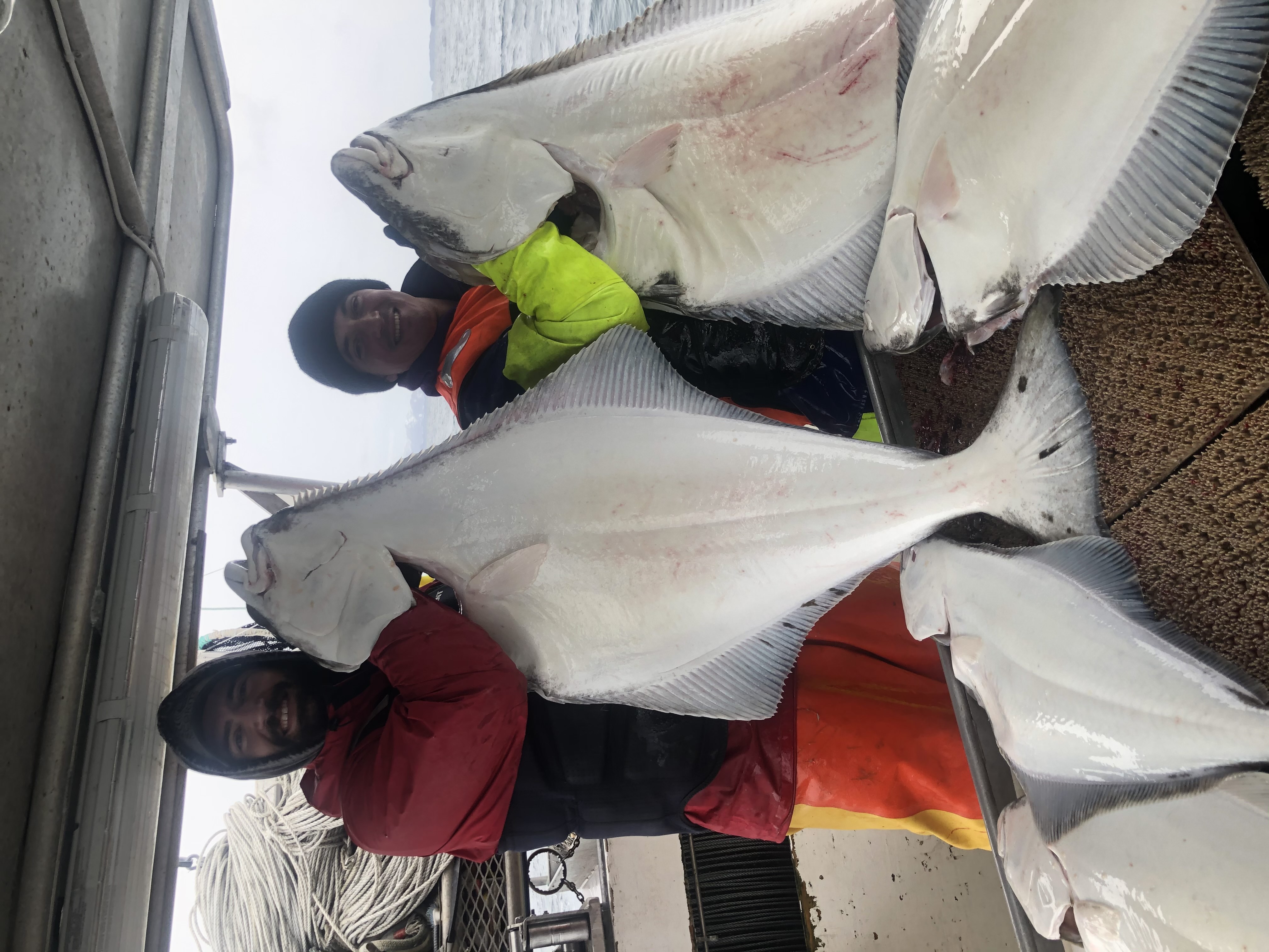 We're back at it, for the halibut! - Highline Fishing - Fresh Fish