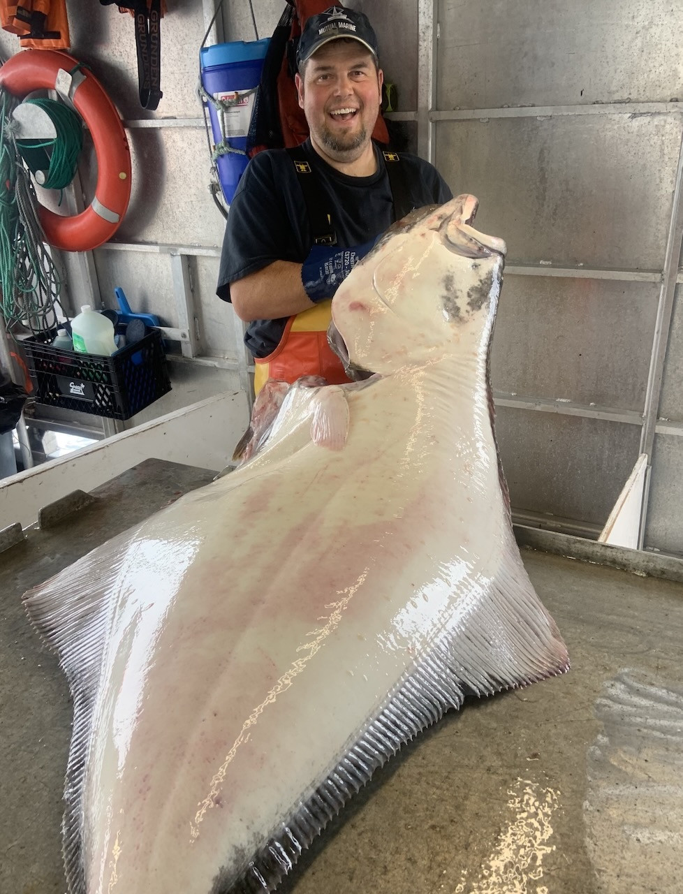 Halibut product photo.