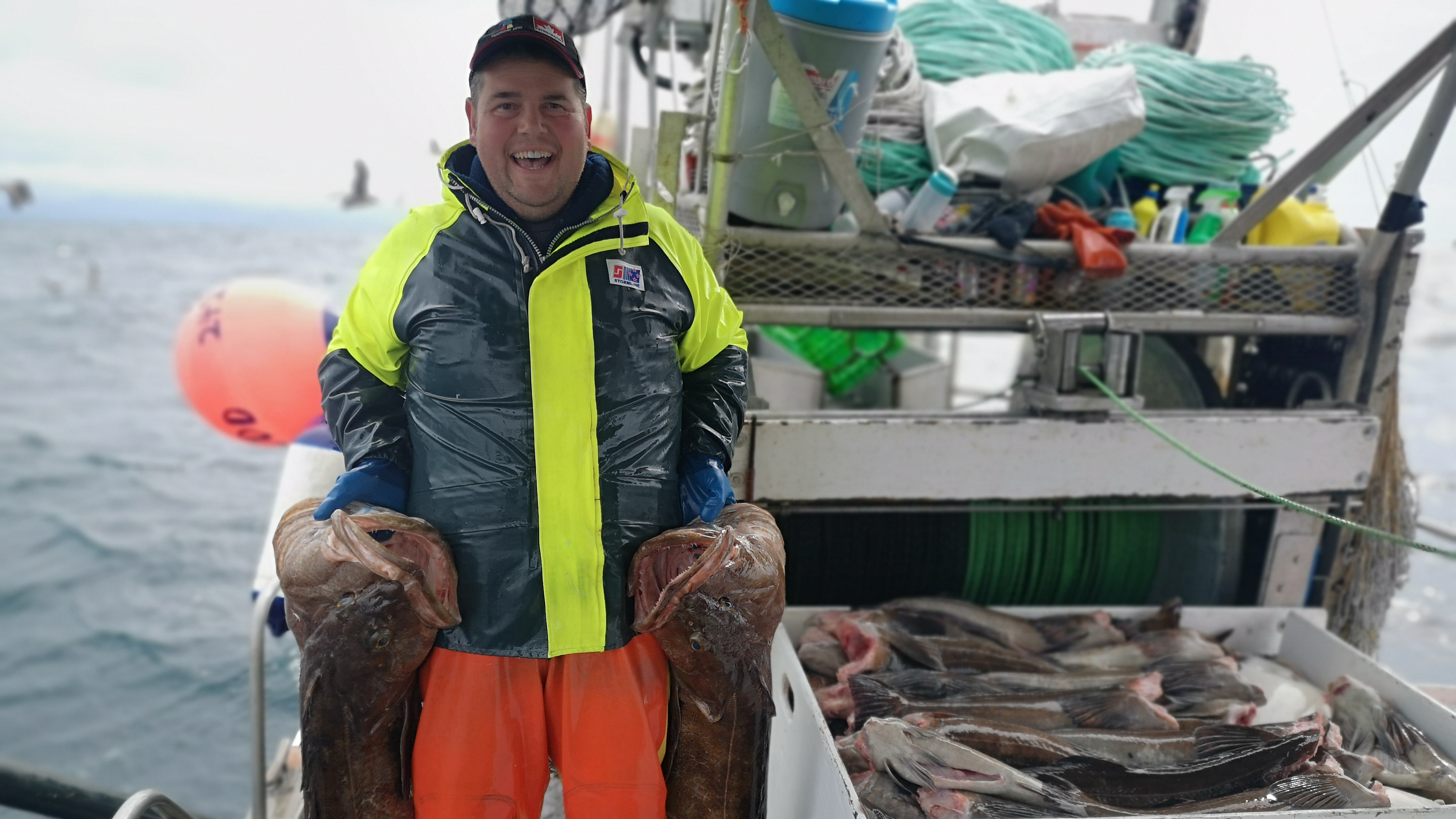 Two fresh lingcod held by commercial fisherman