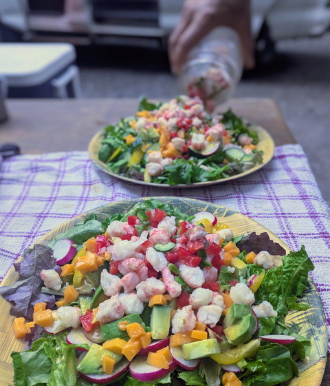 Prawn Ceviche Recipe photo. Taken fresh on a local BC fishing
boat.