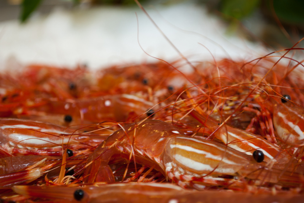 Highline Prawns in Garlic And Wine Recipe photo. Taken fresh on a local BC fishing
boat.